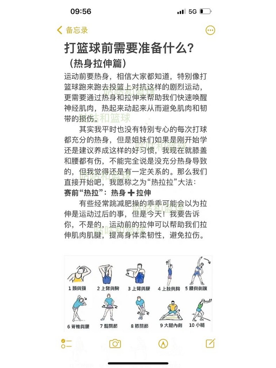 篮球初学者每日训练初中生怎么练